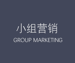 小组营销