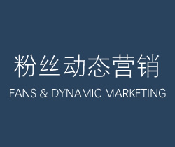 粉丝、动态营销